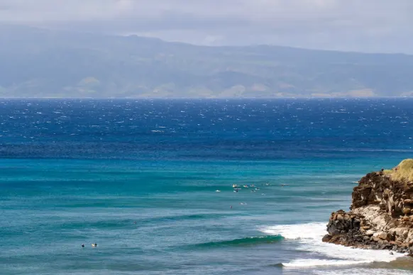 Casino Two Fat Ladies Bingo Support